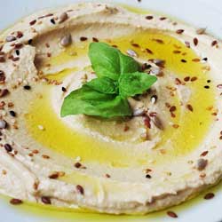 GP Blendtec Fibel | Basiswissen & Rezepte