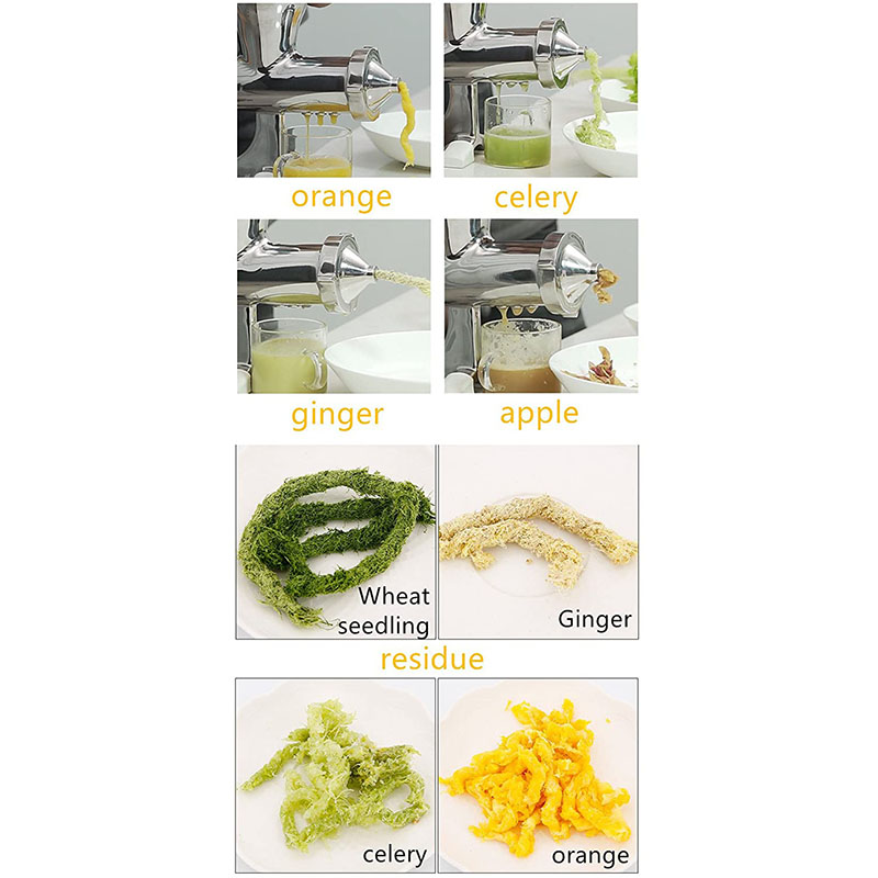 Manuelle Edelstahl Saftpresse | GP-ES1 | BL30 | Weizengras, Gemüse, Ingwer etc.