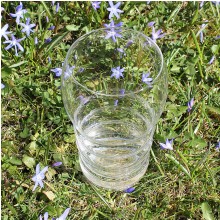 Wasserglas Galileo | Lebensblume