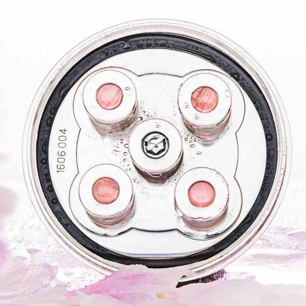 Kristall Wirbeldusche "Kleine Rose 5" | Silber | LifePower