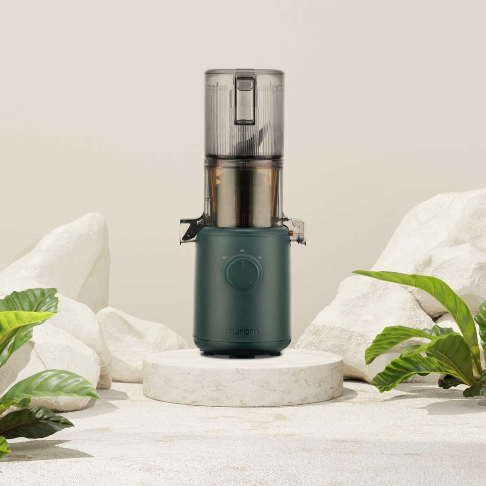 Hurom H310A SlowJuicer (Easy Serie)