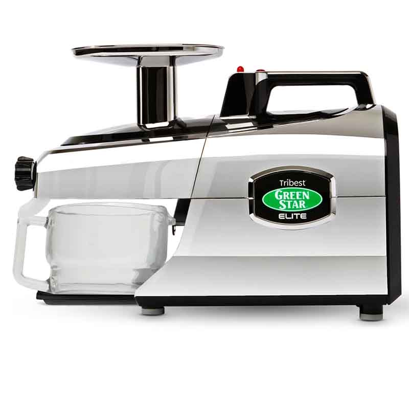 GreenStar Elite Saftpresse (GSE-5000)