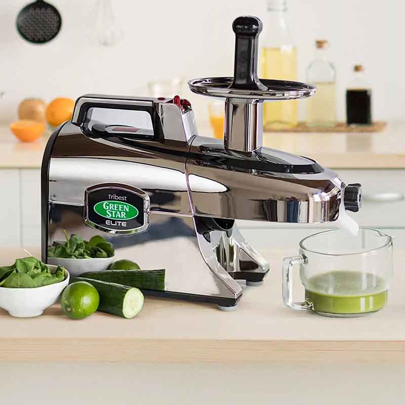 GreenStar Elite Saftpresse (GSE-5000)