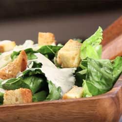 GP Blendtec Fibel | Basiswissen & Rezepte