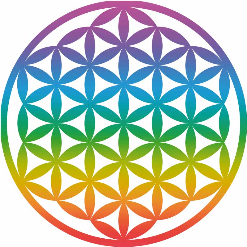 i9 Bottle Chakra | informierte Glasflasche in 9 Farben