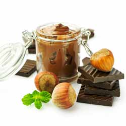 GP Blendtec Fibel | Basiswissen & Rezepte