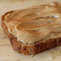 GP Blendtec Fibel | Basiswissen & Rezepte