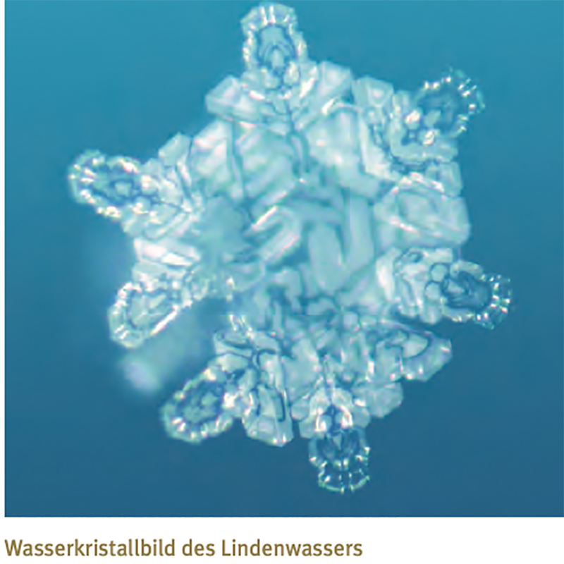 UMH Diamond | Hotel- & Gastgewerbe | Wasserbelebung