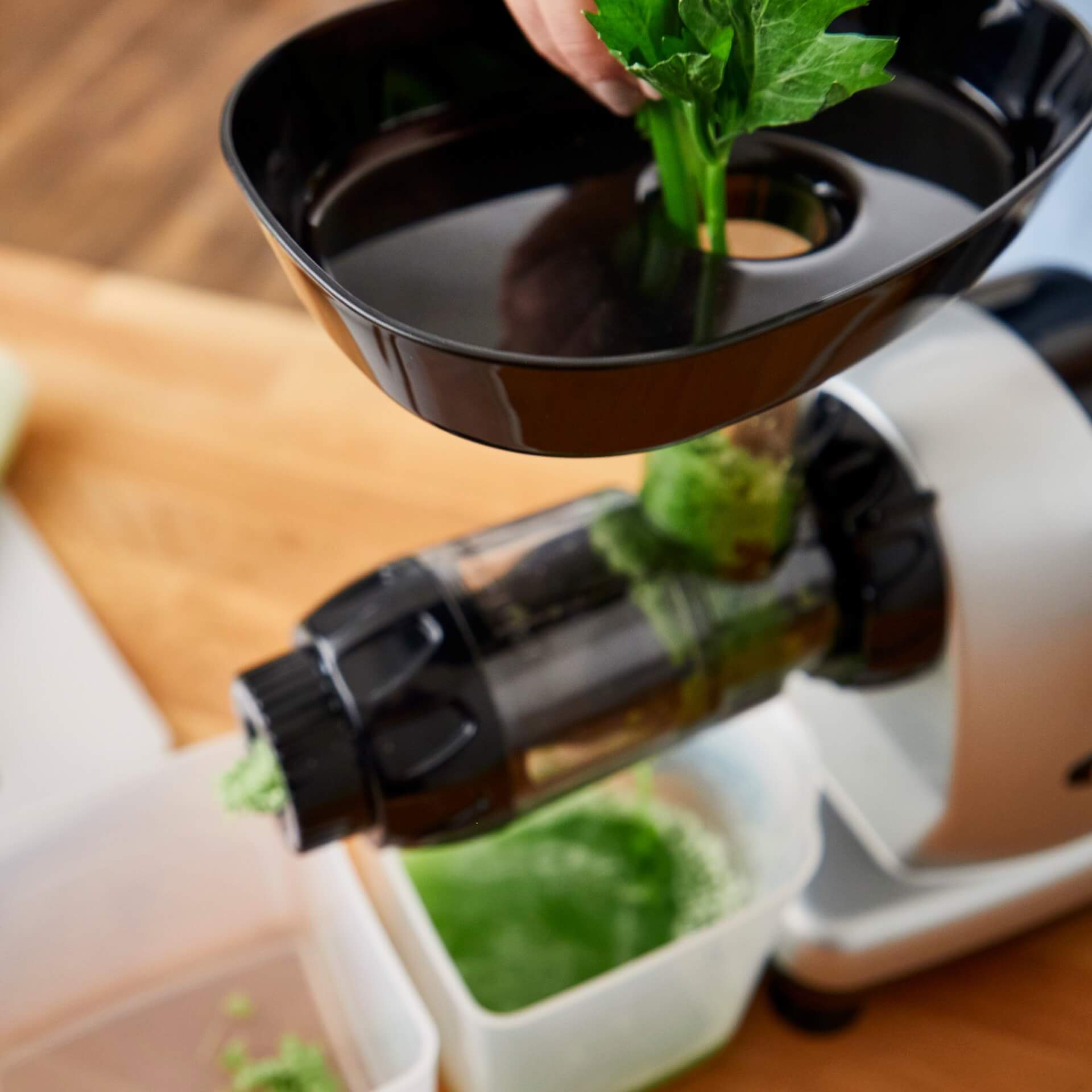 Omega Juicer MM900 HDS | Anthony William Favorit