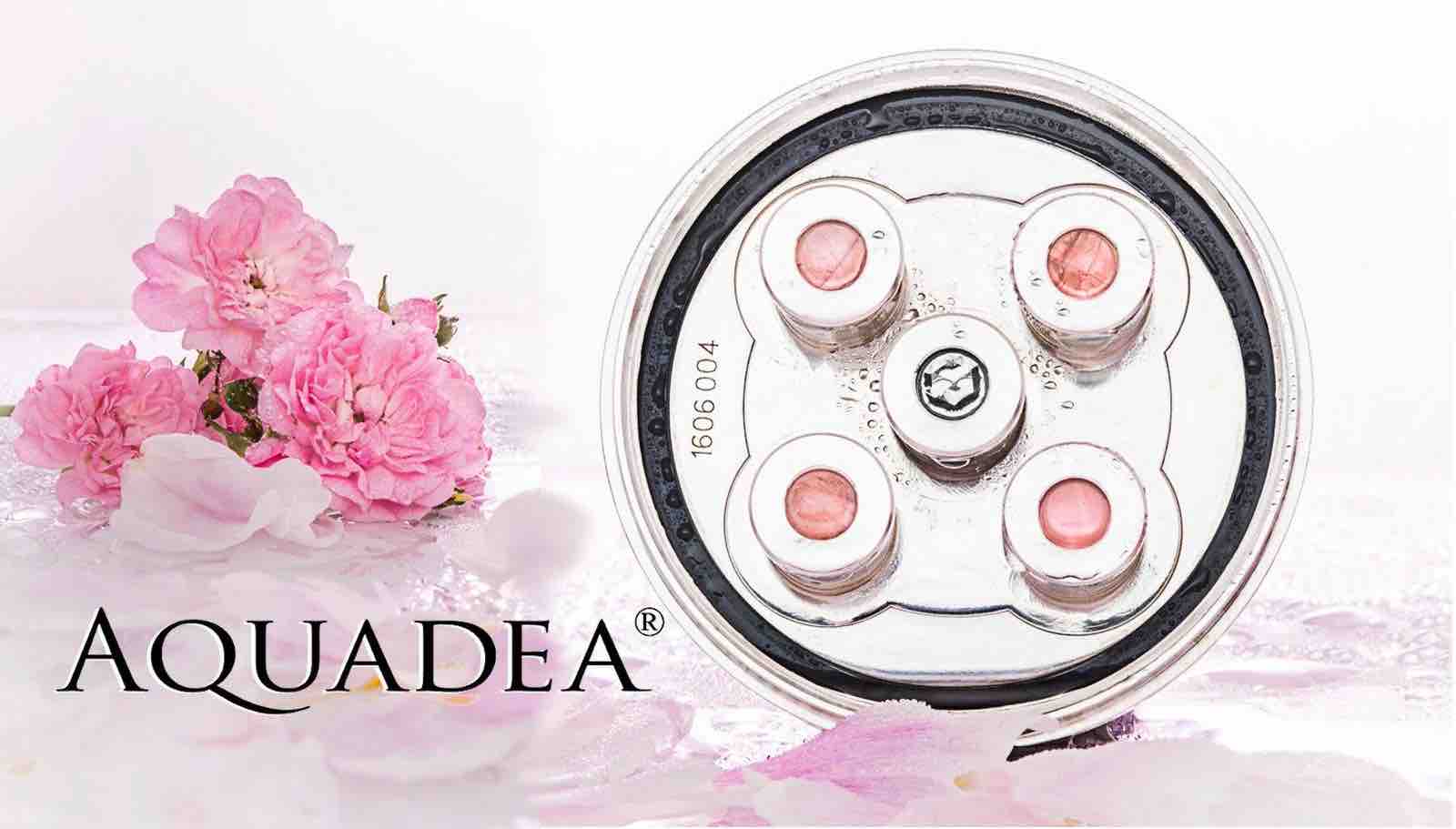 Kristall Wirbeldusche "Kleine Rose 5" | Silber | LifePower
