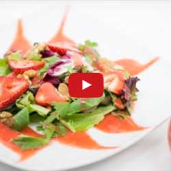 GP Blendtec Fibel | Basiswissen & Rezepte