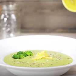 GP Blendtec Fibel | Basiswissen & Rezepte