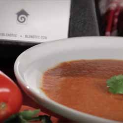 GP Blendtec Fibel | Basiswissen & Rezepte